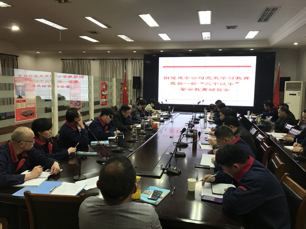 公司召开党史学习教育暨新一轮“三个以案”警示教育发动会