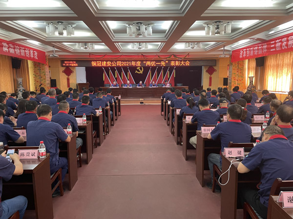 公司召开“两优一先”表扬大会