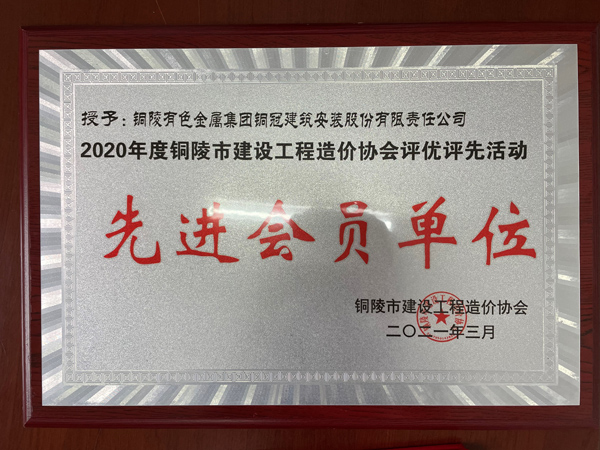 公司荣获“先进会员单位”称呼 