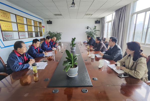 公司党委书记调研党支部事情