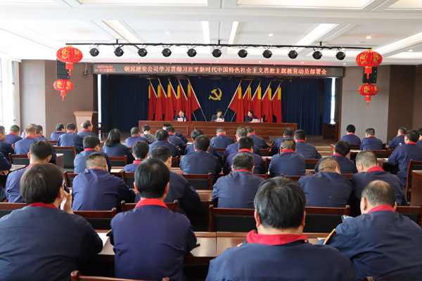 公司召开学习贯彻习近平新时代中国特色社会主义头脑主题教育发动安排会