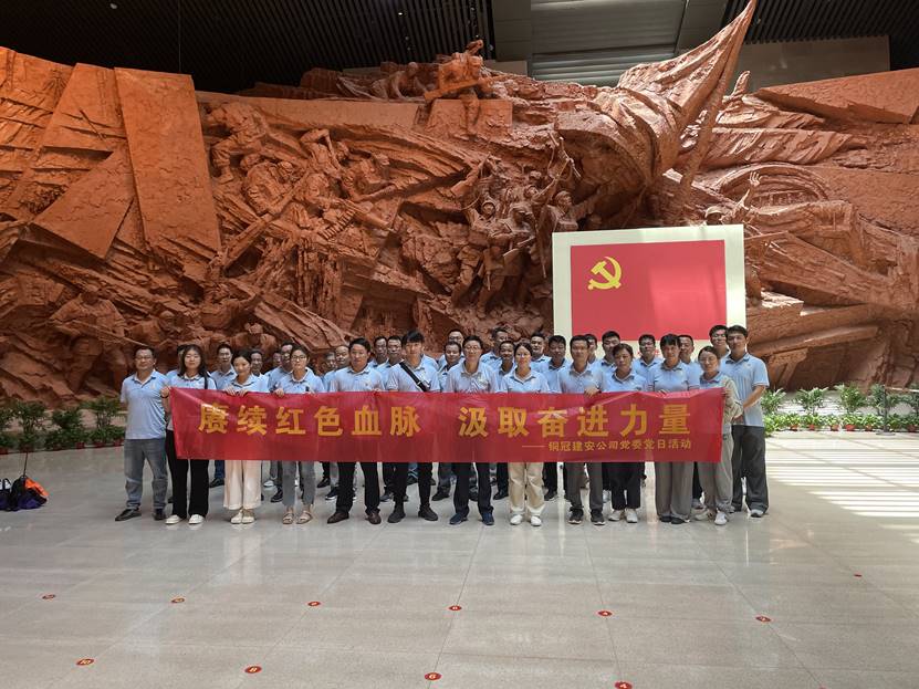 公司党委开展主题党日暨“过整体政治生日”运动